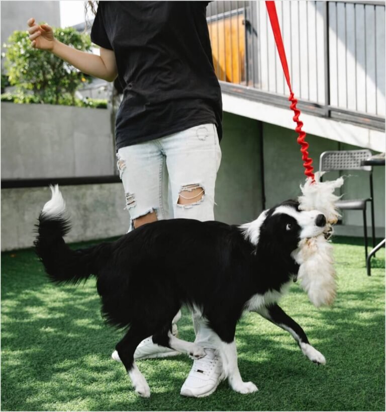 pexels-blue-bird-7210432